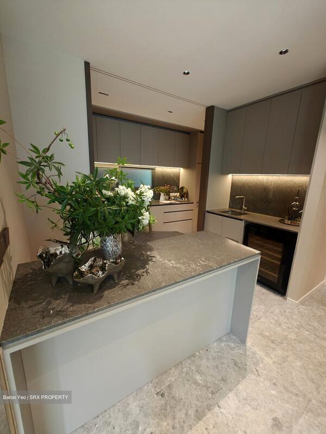 Amber House (D15), Apartment #556427671